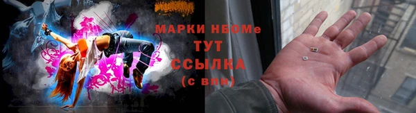сатива Елабуга