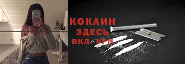 сатива Елабуга
