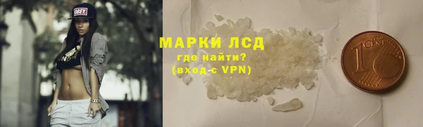 сатива Елабуга
