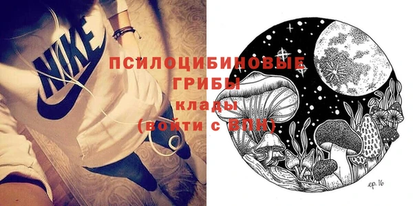 дмт Заводоуковск