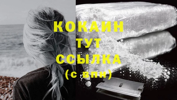 экстази Ельня