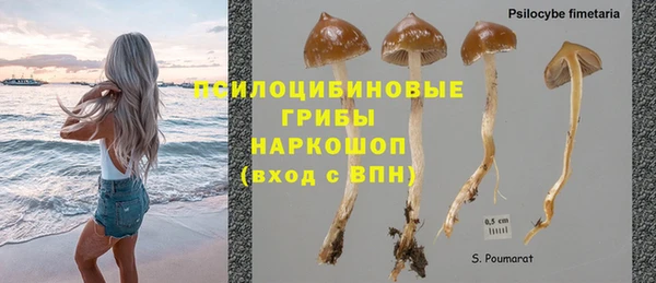 сатива Елабуга